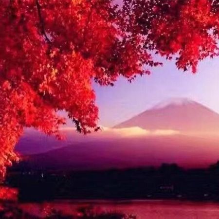 Away From Noise,View Fuji Mt In The Designer House Villa Yamanakako Dış mekan fotoğraf