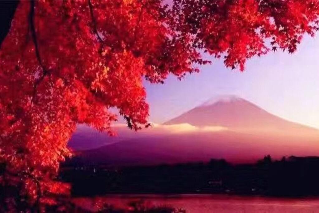 Away From Noise,View Fuji Mt In The Designer House Villa Yamanakako Dış mekan fotoğraf